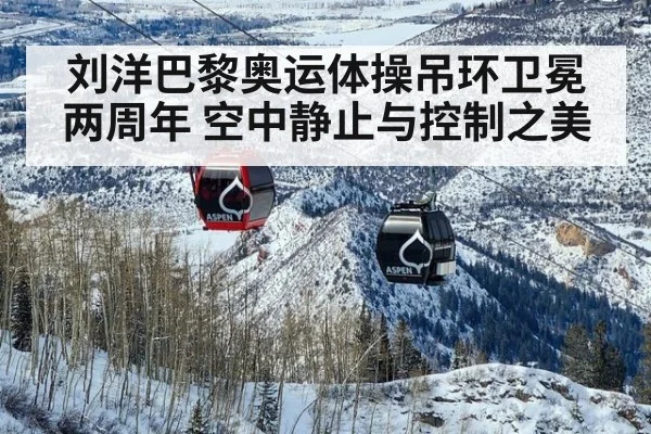 刘洋巴黎奥运体操吊环卫冕两周年 空中静止与控制之美